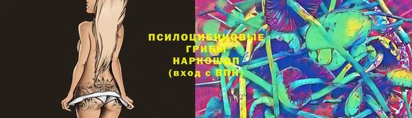 a pvp Аркадак