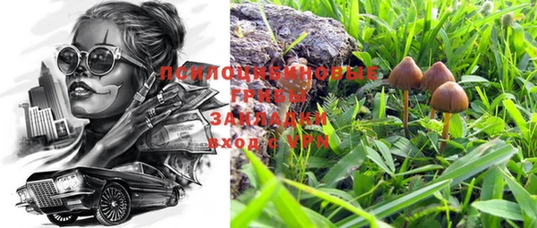 спайс Арсеньев