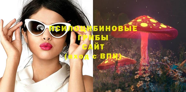 спайс Арсеньев