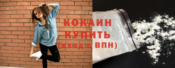 спайс Арсеньев
