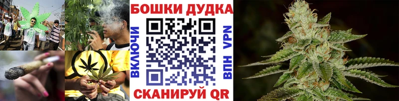 Бошки марихуана планчик  Балашиха 